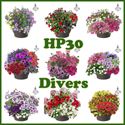 Afbeelding van HP30 XXL Mix divers
